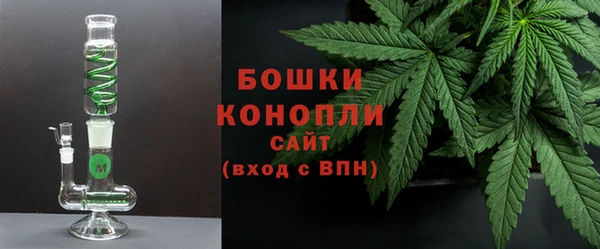 PSILOCYBIN Балахна
