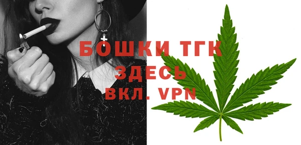 мет Арсеньев