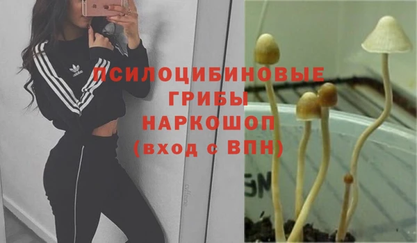 MDMA Premium VHQ Аркадак