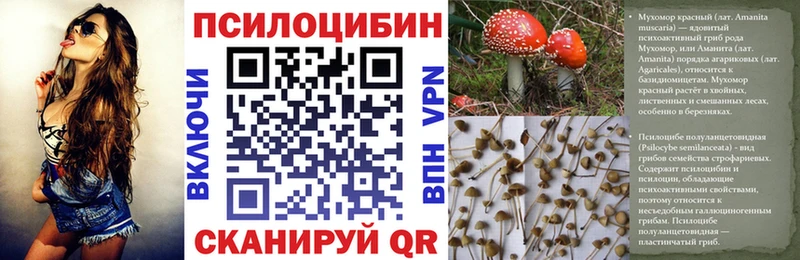 Псилоцибиновые грибы Cubensis как найти закладки shop телеграм Ладушкин